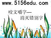 《咬文嚼字——消灭错别字》ppt课件3