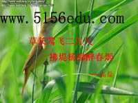 布封《莺》ppt课件10