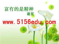 《富有的是精神》ppt课件3