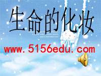 《生命的化妆》ppt课件(7页)