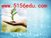 《生命本来没有名字》ppt课件(15页)