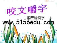《咬文嚼字——消灭错别字》pptx课件(39页)